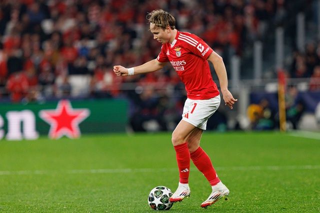 Andreas Schjelderup Benfica