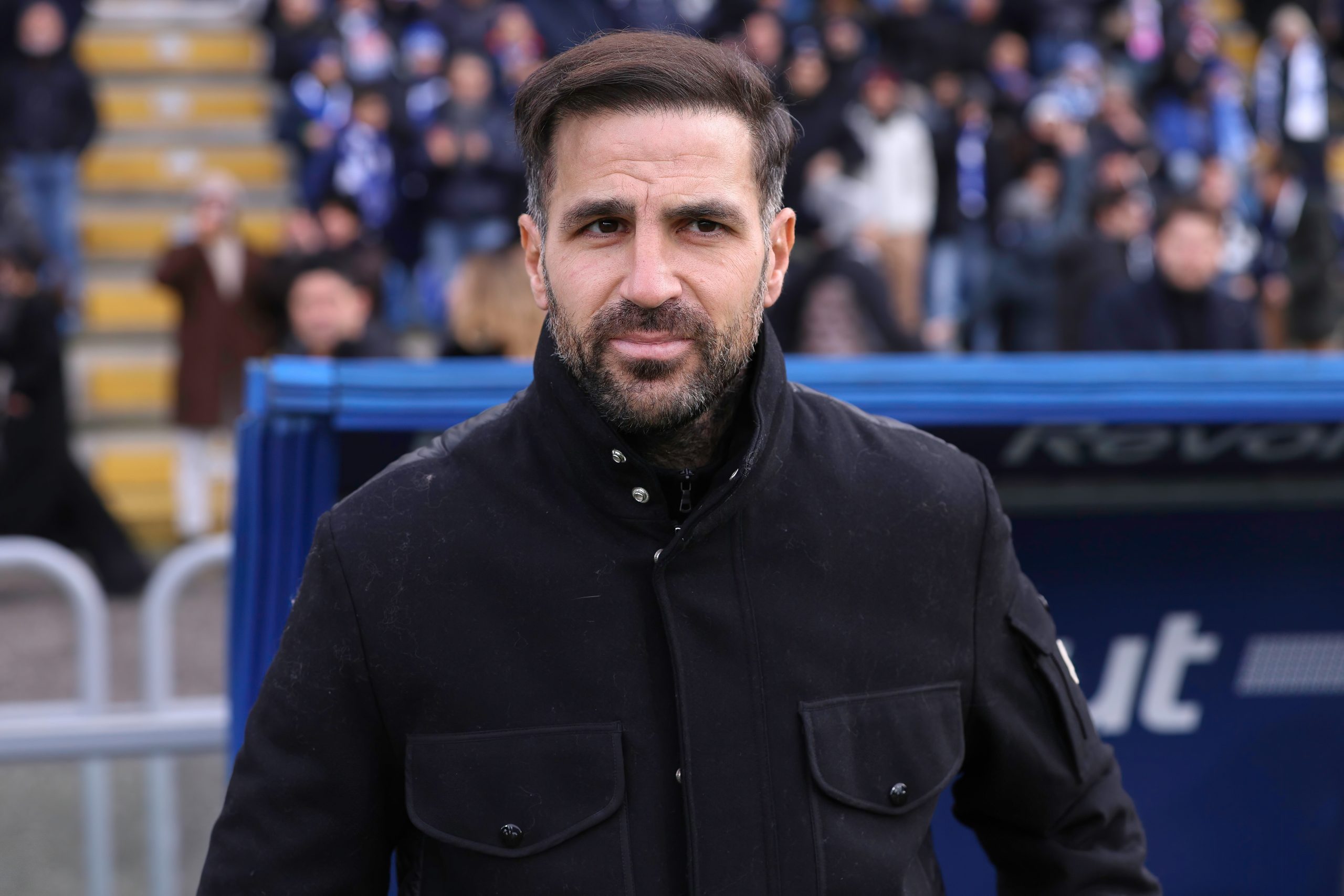 Cesc Fabregas (Shutterstock)