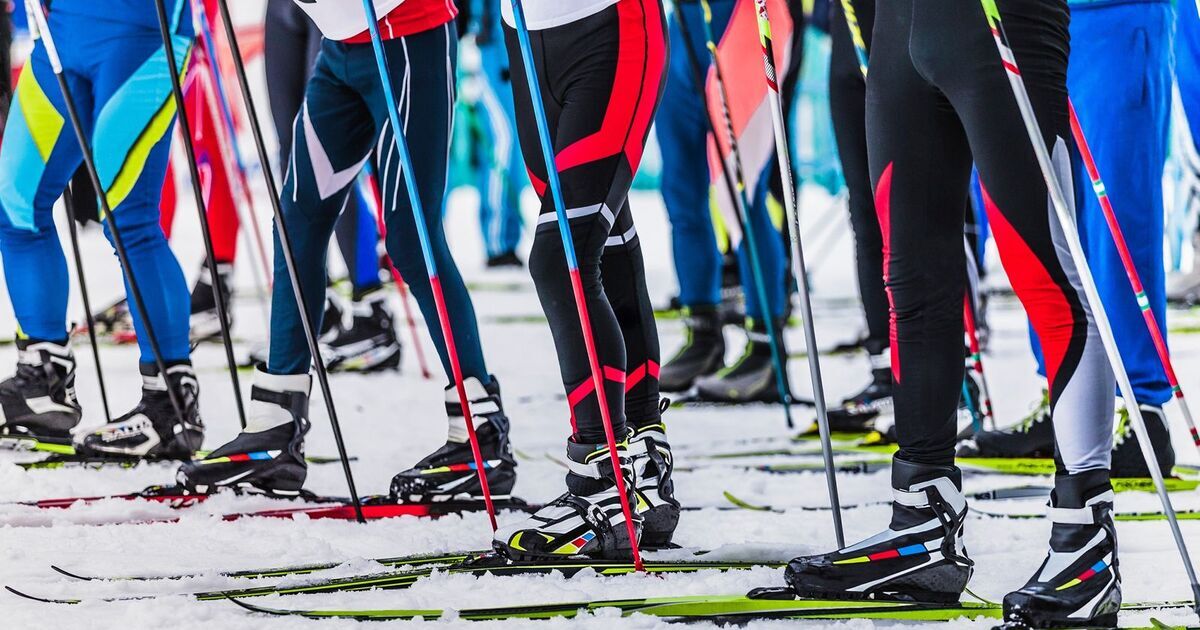 Ski cross (Shutterstock)