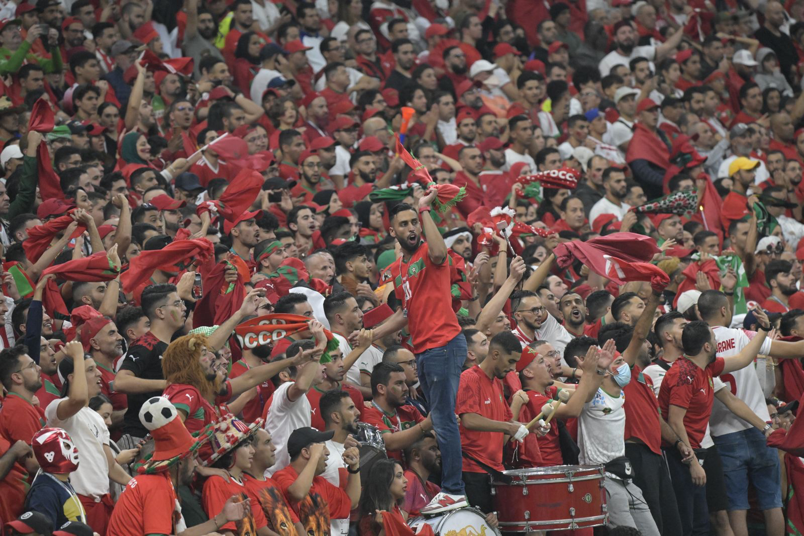 Tifosi Marocco (shutterstock)